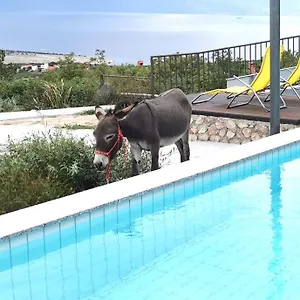Suzi Donkey Farm With Seaview Apartment